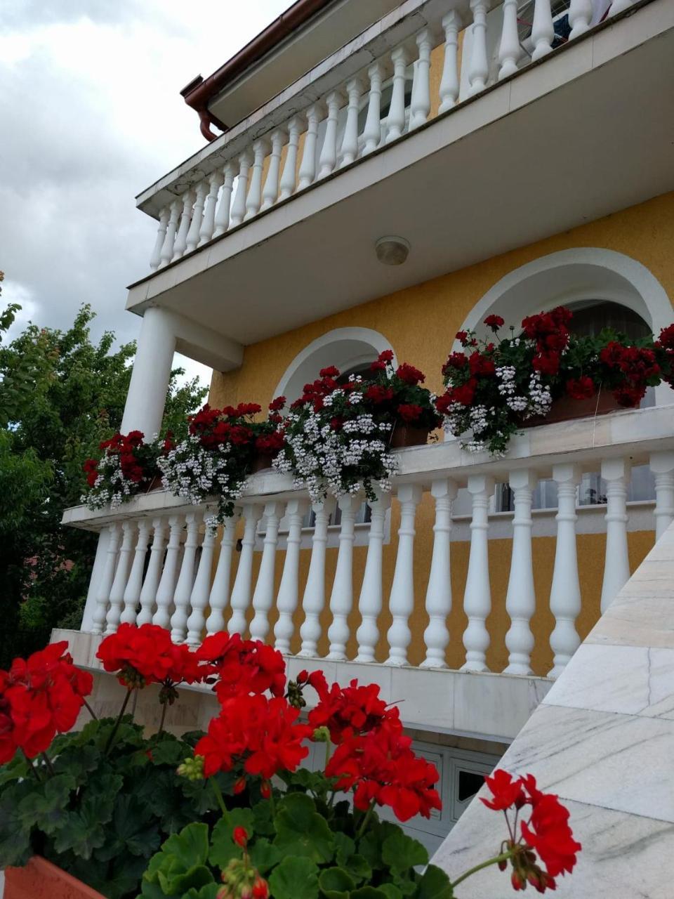Hotel Casa Monica Băile Felix Exterior foto