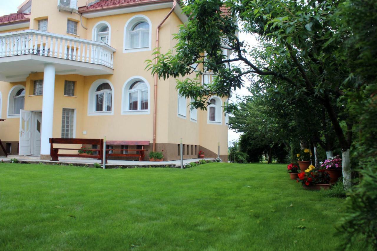 Hotel Casa Monica Băile Felix Exterior foto